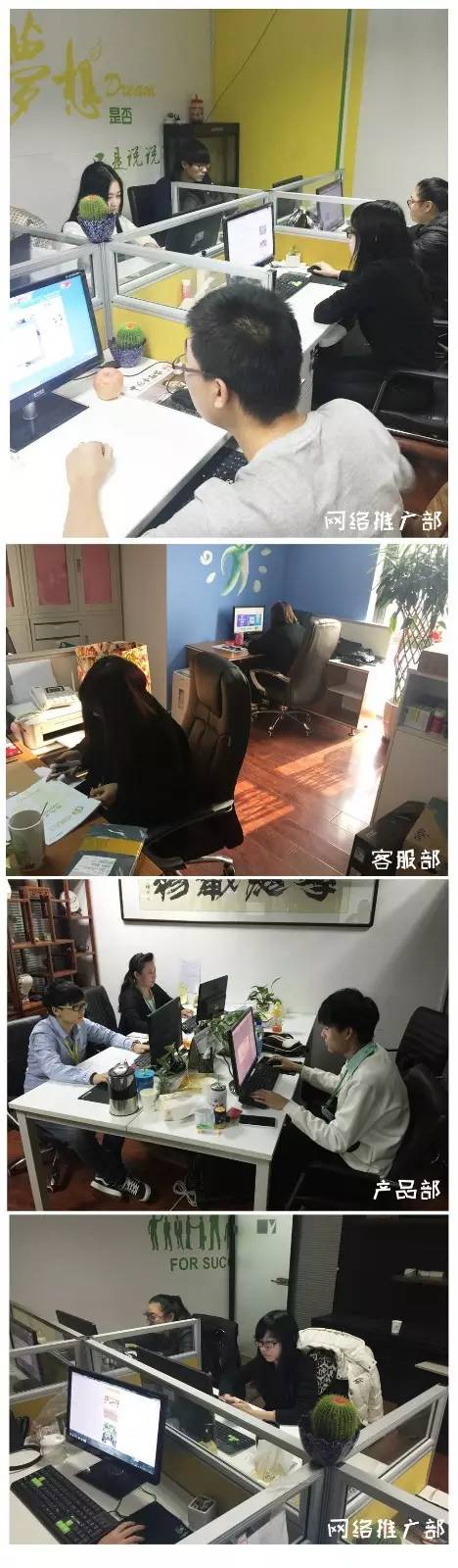 网络推广部--后营的保证军。服务，推广，宣传我们样样在行。