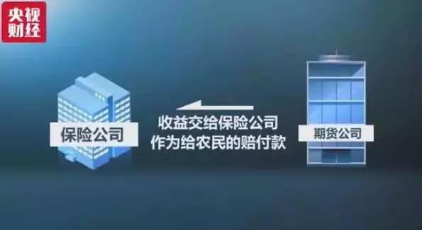 餐饮食材采购：进口大豆激增！竟然占领中国80%市场