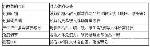 乳酸菌的益处.jpg